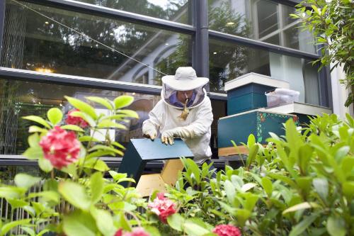 Stayokay Haarlem - image 7