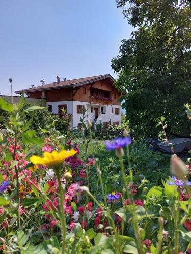  Oberschoeberlehof, Pension in Meran