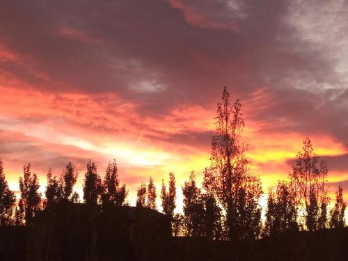 Cielos Patagónicos Aparts