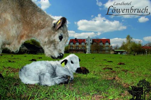Landhotel Löwenbruch in Löwenbruch, Deutschland