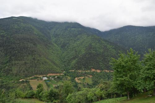 MARS OTEL in ارتفين