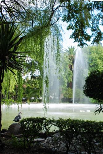 Hotel Parque México Boutique – Mexico City, CT