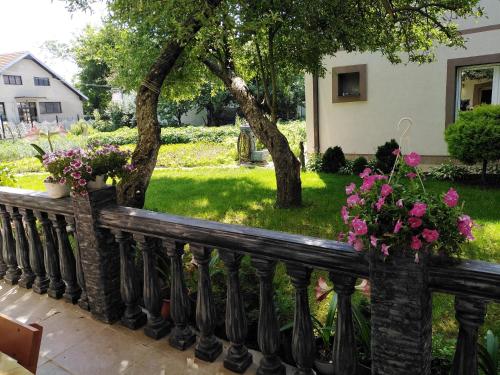 trädgård, Apartmani Odmor i Mir in Vranje