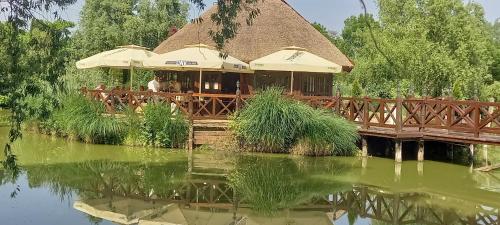 Uitzicht, Salas Đorđevic in Šupljak