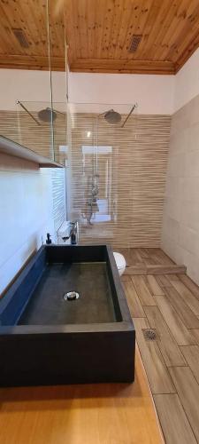 VILLA PORTIANOU in Nea Koutali