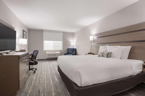Best Western Nsu Inn