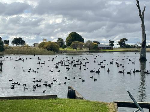 Tasman Holiday Parks - Lake Mulwala