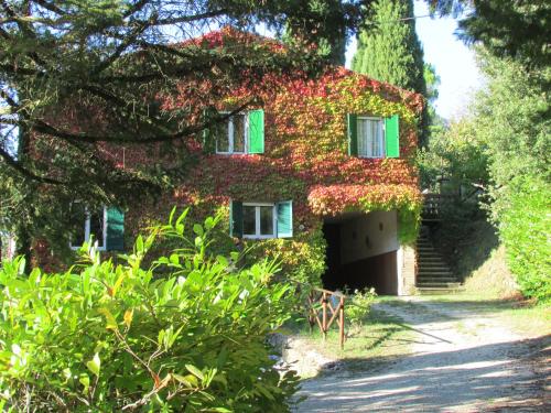 Studio with Garden View