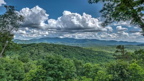 Cardinal Ridge - image 5