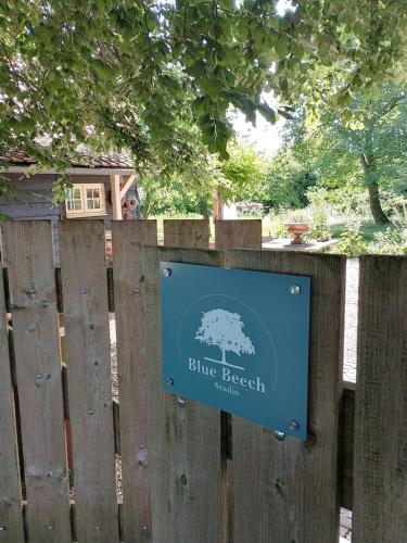  Studio Blue Beech in Lunteren