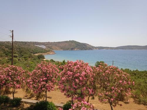  Skoutari Beach Hotel in Skoutari