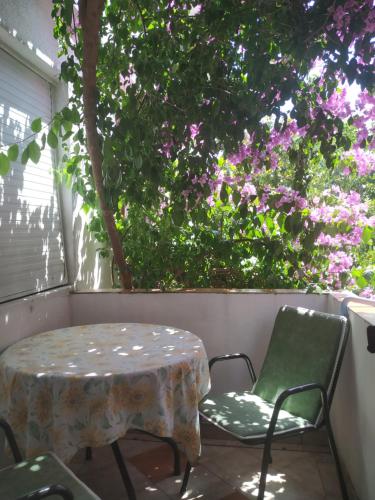 Apartmani Abeona - image 3