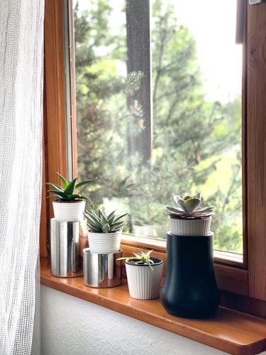 Viktor Apartment, Titisee-Neustadt (foto 7)