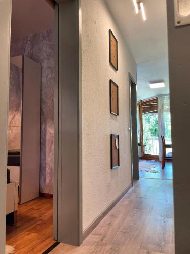 Viktor Apartment, Titisee-Neustadt (foto 9)
