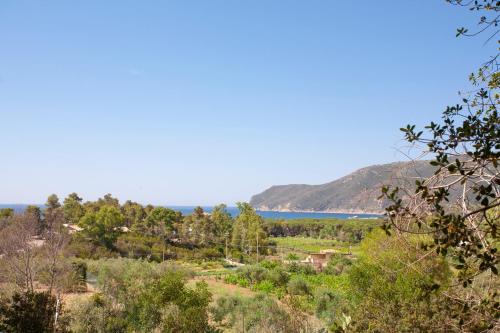  Casa L´Antica Oliveta in Lacona