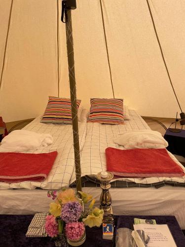 Naturglamping in Lyckans Höjd