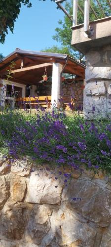 Apartmani Ana photo