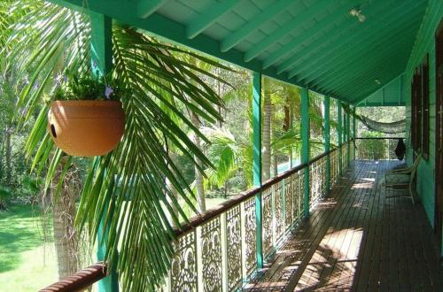 Balkon/terasa, Riviera Bed and Breakfast in Springbrook