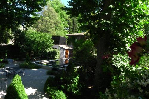 Villa Amara - 정원