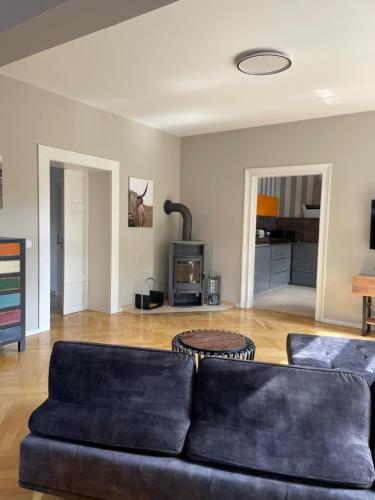 Helle Terrassenwohnung in Traumlage von Dresden, Drážďany (fotografie 6)