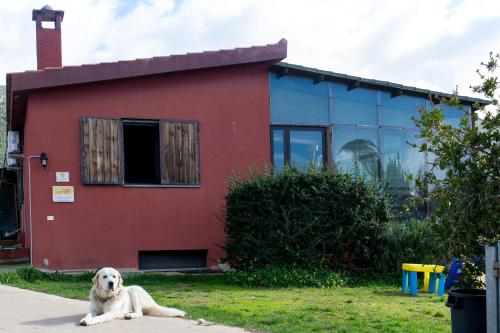  Farms stay L'Agrumeto, Donori bei San Nicolò Gerrei