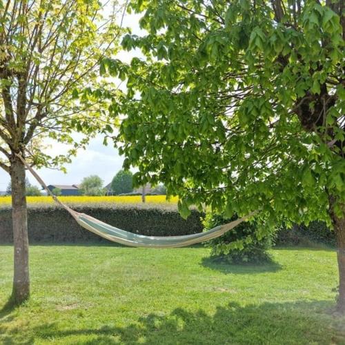 Grande Maison de plain pied avec jardin arboré.