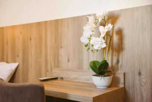Guest House Mica - image 11