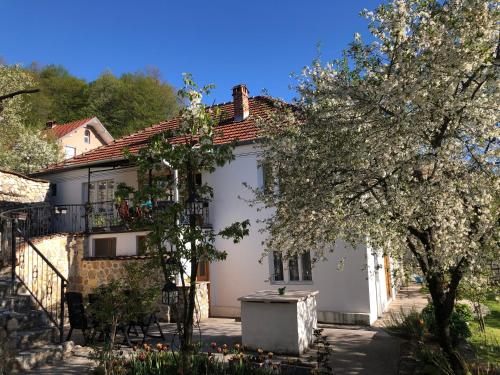 Zunanjost, Hangjik (Little Inn) in Ferizaj