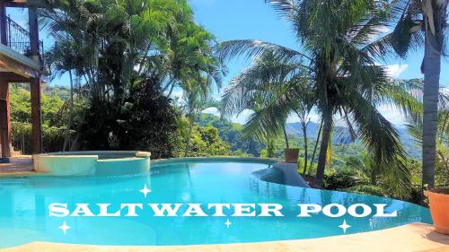 Playa Potrero, Oceanview Villa Oasis with salt-water pool for up to 8 people