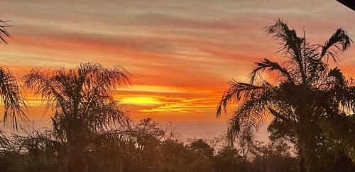 Playa Potrero, Oceanview Villa Oasis with salt-water pool for up to 8 people