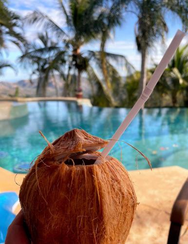 Playa Potrero, Oceanview Villa Oasis with salt-water pool for up to 8 people