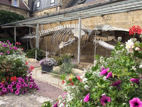 Maisonnette avec terrasse à 50m de la plage