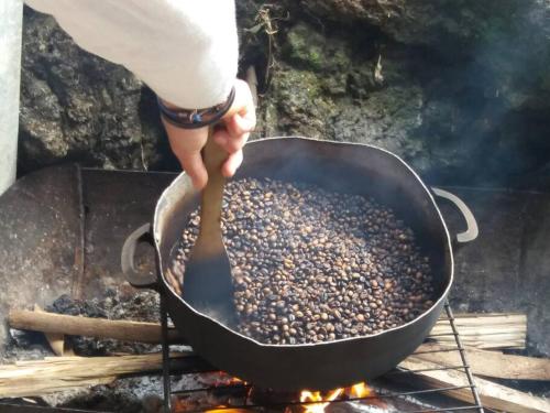 Location saisonnière Le Clos des Agrumes (Location saisonniere Le Clos des Agrumes) in Sainte Anne