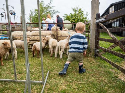 Crabtree Farm - South Stable