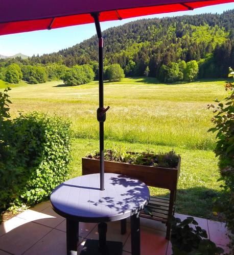 Studio with Mountain View
