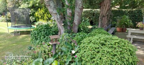 Protea Manor, George (foto 8)