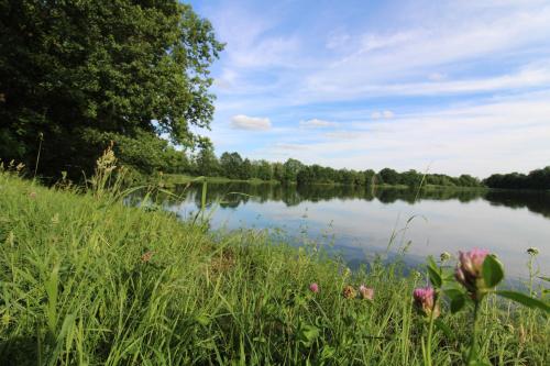 Apkārtne, Ferienwohnung in herrlicher Teichlandschaft in Konigswartha