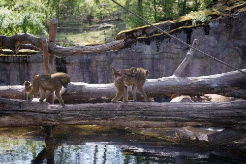 Ferienhof Barthel - image 14