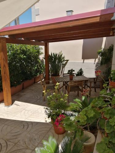 7 Contrade, Taranto (foto 5)