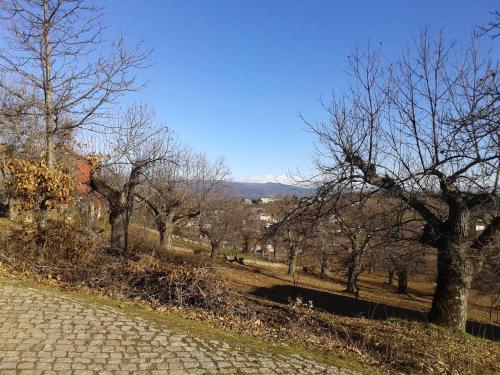 O Palheirinho - Turismo Rural - Bragança