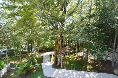 Forest house, Cetinje (Cettigne) (foto 5)