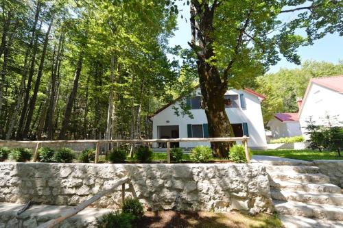 Forest house, Cetinje (Cettigne) (foto 6)