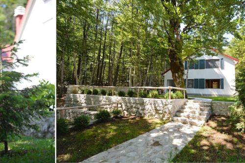 Forest house, Cetinje (Cettigne) (foto 7)
