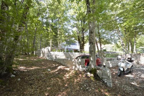 Forest house, Cetinje (Cettigne) (foto 8)