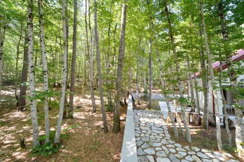 Forest house, Cetinje (Cettigne) (foto 9)