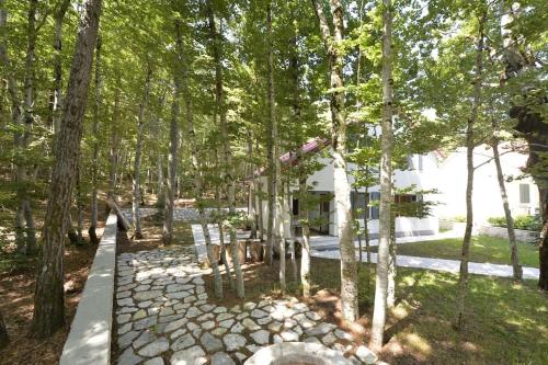 Forest house, Cetinje (Cettigne) (foto 10)