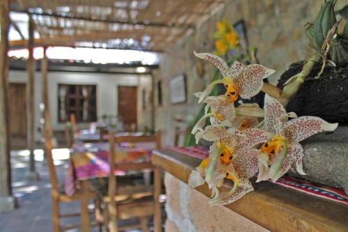 Casa Q'eqchi'