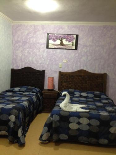 Terracota Corner Rooms