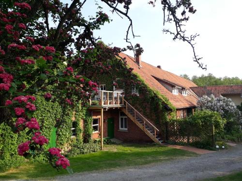 Schwalbennest in Walsrode, Deutschland