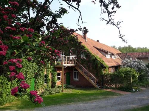 Schwalbennest in Walsrode, Deutschland